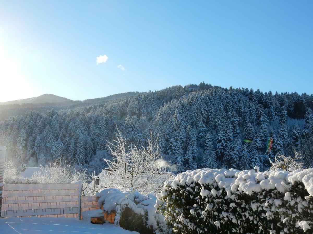 Weitblick "Entspannen - Wohlfuehlen - Aktiv Erholen" Elzach Exteriér fotografie
