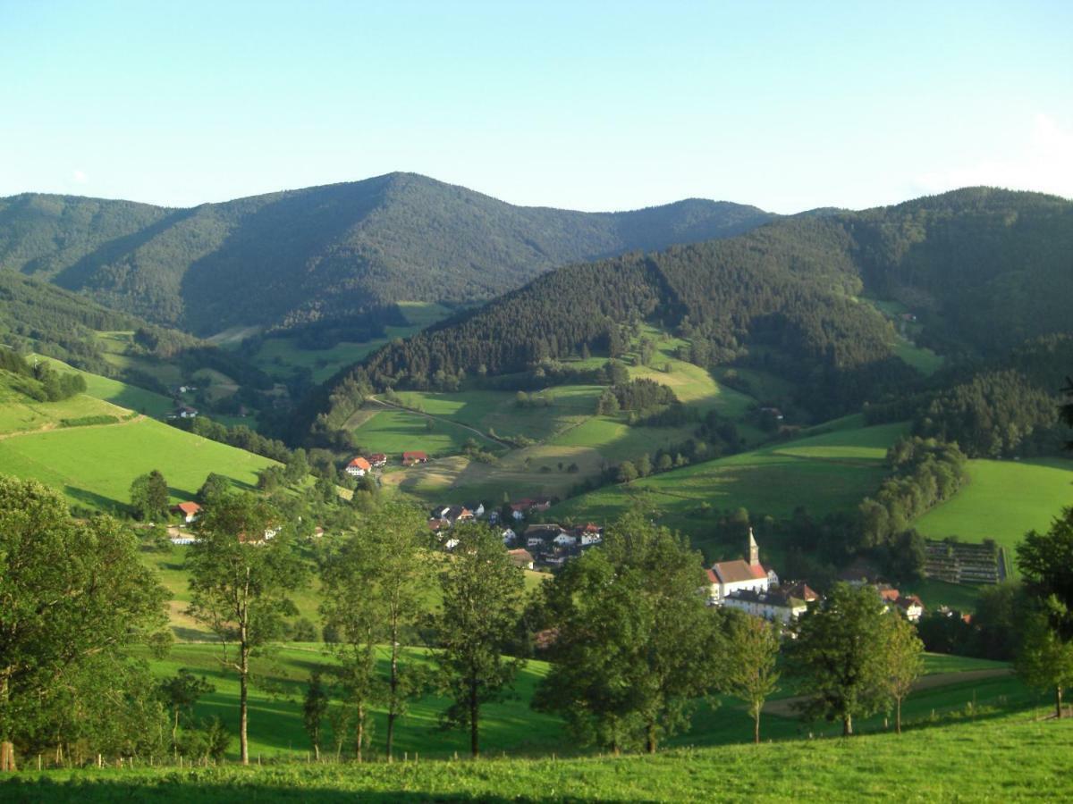 Weitblick "Entspannen - Wohlfuehlen - Aktiv Erholen" Elzach Exteriér fotografie