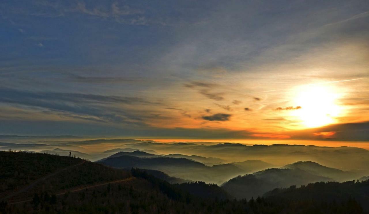 Weitblick "Entspannen - Wohlfuehlen - Aktiv Erholen" Elzach Exteriér fotografie