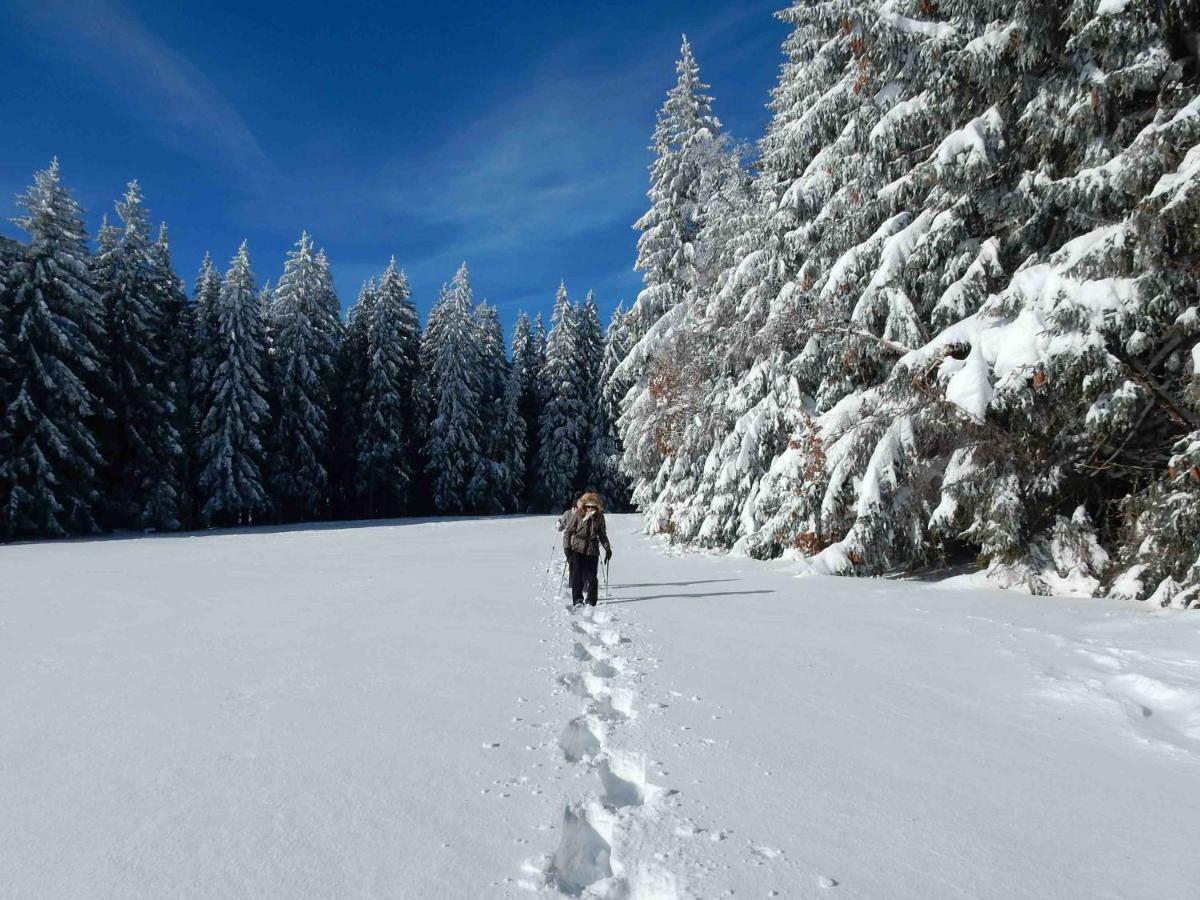 Weitblick "Entspannen - Wohlfuehlen - Aktiv Erholen" Elzach Exteriér fotografie